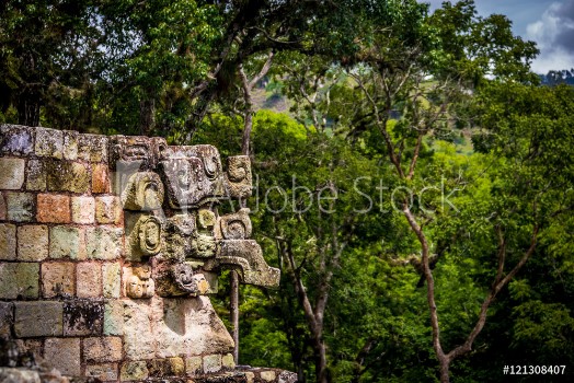 Bild på Carved detail at Mayan Ruins - Copan Archaeological Site Honduras